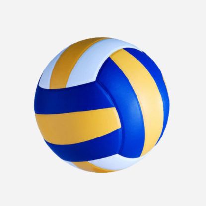 Picture of Volley Ball